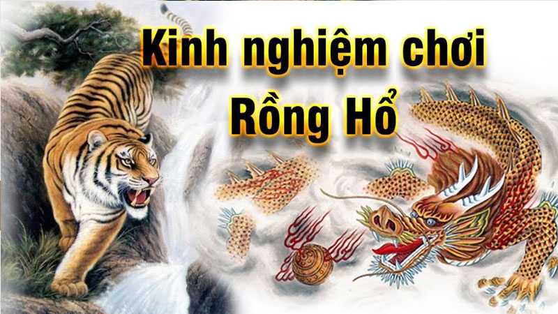 Game Bài Rồng Hổ Là Gì - Giải Mã Sức Hút Của Tựa Game Đình Đám