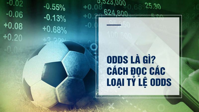 Odds là gì - Giải mã Bí mật Của Những Con Số May Rủi